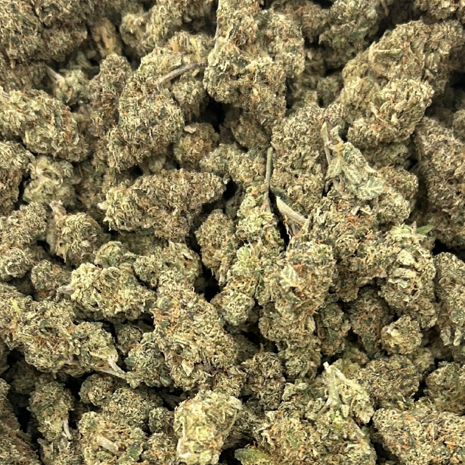 Solventless rosin sample